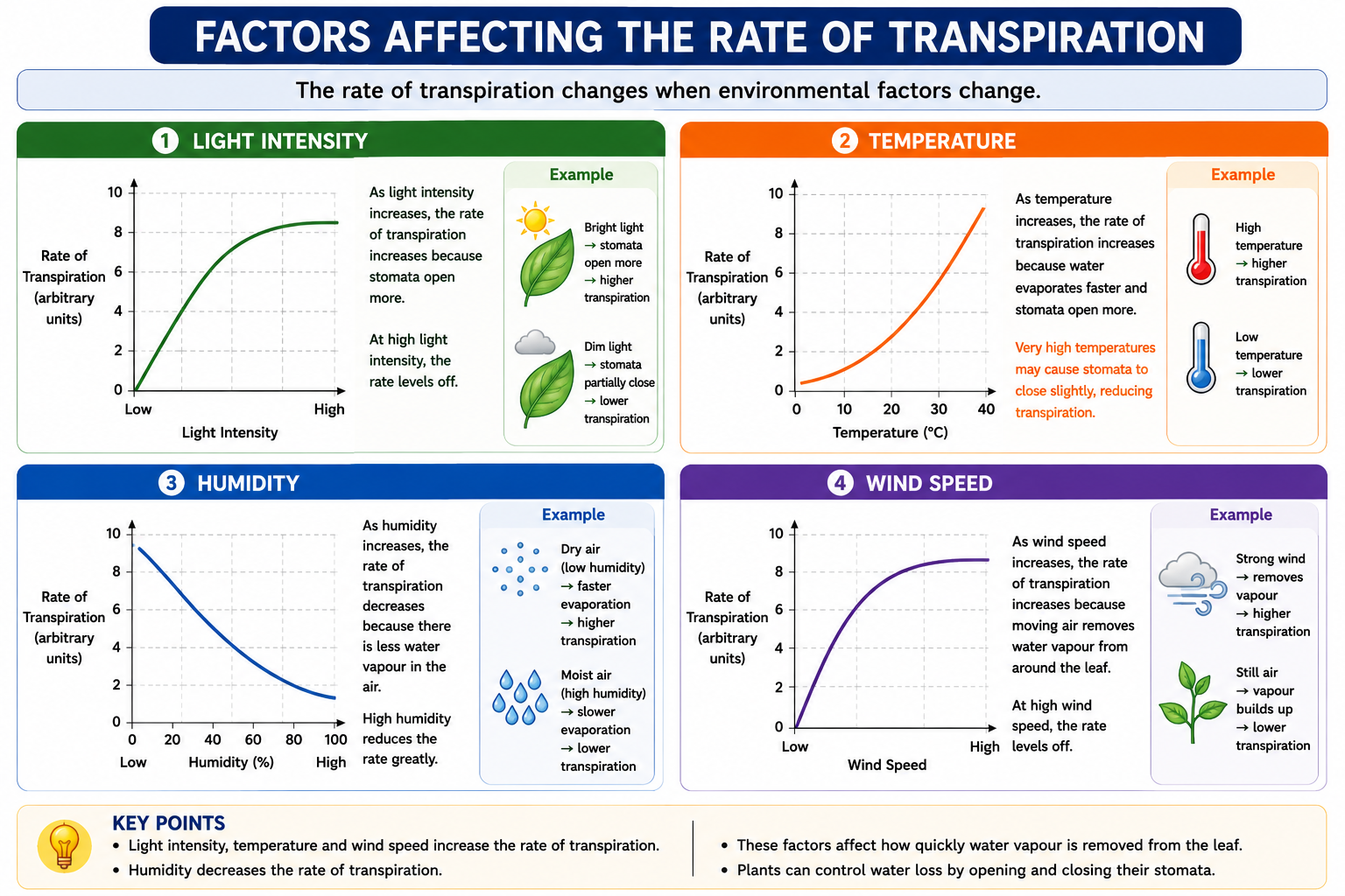 Factors affecting the rate of transpiration including light temperature humidity and wind speed
